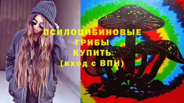 прущие крисы Бородино