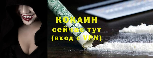 прущие крисы Бородино