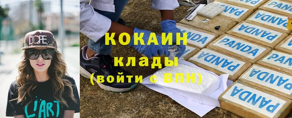 прущие крисы Бородино