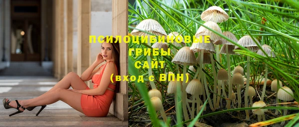 прущие крисы Бородино