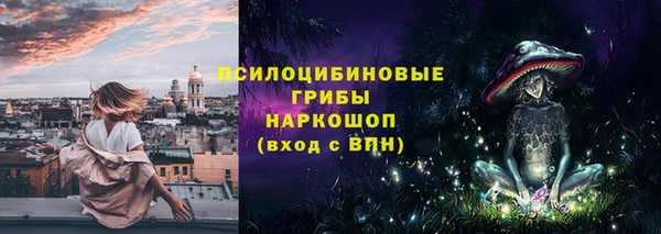МДПВ Бронницы