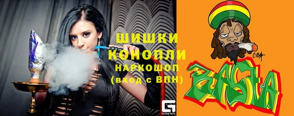 МДПВ Бронницы