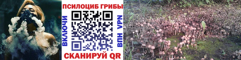 Псилоцибиновые грибы MAGIC MUSHROOMS Сосногорск